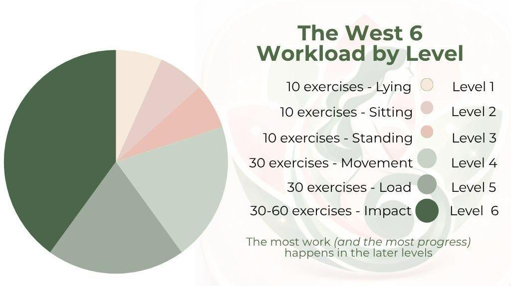 a pie chart of the west 6 exercises by level 